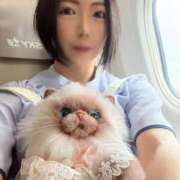 ヒメ日記 2026/05/20 14:09 投稿 霧島　ななせ マダム美林　札幌店