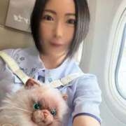 ヒメ日記 2026/05/20 16:03 投稿 霧島　ななせ マダム美林　札幌店
