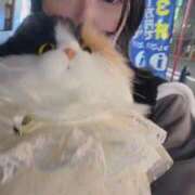 ヒメ日記 2026/05/25 17:13 投稿 霧島　ななせ マダム美林　札幌店