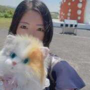 ヒメ日記 2026/06/14 17:13 投稿 霧島　ななせ マダム美林　札幌店