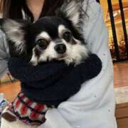 ヒメ日記 2026/03/03 14:07 投稿 いおり【梅田堂山女学院】 梅田堂山女学院