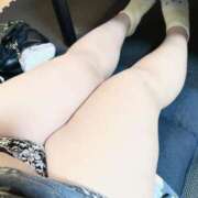 ヒメ日記 2026/01/11 10:07 投稿 あずき いわき小名浜ちゃんこ