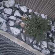 ヒメ日記 2026/02/09 09:12 投稿 あき clubさくら京橋店