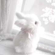 ヒメ日記 2026/01/21 19:46 投稿 こはく SPIN(スピン)