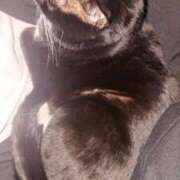 まゆ 出勤してます💕 恥じらいエステ