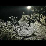 ヒメ日記 2026/04/03 18:09 投稿 まゆ 恥じらいエステ