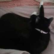 ヒメ日記 2026/04/08 19:09 投稿 まゆ 恥じらいエステ