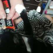 ヒメ日記 2026/04/12 20:39 投稿 まゆ 恥じらいエステ