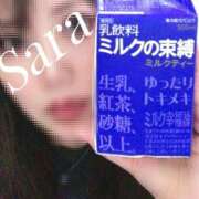 ヒメ日記 2026/02/28 02:18 投稿 沙羅 マイクロビキニSPA TOKYO池袋