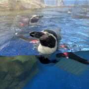 ヒメ日記 2026/01/18 10:48 投稿 もえ 横浜ミセスアロマ（ユメオト）