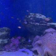 ヒメ日記 2026/01/22 15:19 投稿 もえ 横浜ミセスアロマ（ユメオト）