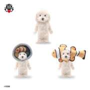 ヒメ日記 2026/01/24 19:37 投稿 もえ 横浜ミセスアロマ（ユメオト）