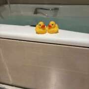 ヒメ日記 2026/01/26 10:33 投稿 もえ 横浜ミセスアロマ（ユメオト）