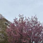 ヒメ日記 2026/02/28 19:02 投稿 もえ 横浜ミセスアロマ（ユメオト）