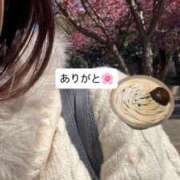 ヒメ日記 2026/03/08 18:31 投稿 もえ 横浜ミセスアロマ（ユメオト）