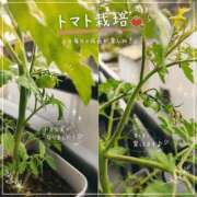 ヒメ日記 2026/06/12 16:19 投稿 りな 激安ピーチ