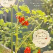 ヒメ日記 2026/07/20 15:59 投稿 りな 激安ピーチ