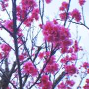 ヒメ日記 2026/02/12 23:03 投稿 ユア 沖縄ちゃんこコザ