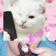 ヒメ日記 2026/02/20 18:13 投稿 ユア 沖縄ちゃんこコザ