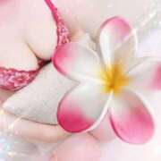 ヒメ日記 2026/03/13 16:12 投稿 ましろ 集え！おっぱい好きたち！もんだ～ら