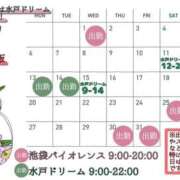 ヒメ日記 2026/06/25 17:05 投稿 にじか バイオレンス