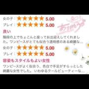 にじか 口コミありがとう〜！☺️💐 バイオレンス