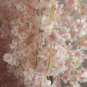 ヒメ日記 2026/01/28 23:06 投稿 ももい MIKADO