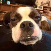 ヒメ日記 2026/02/25 15:51 投稿 ももい MIKADO