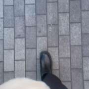 ヒメ日記 2026/01/27 12:02 投稿 みなみ★高身長で上品な和風美人 Bell～S級美女お姉様・人妻デリヘル～