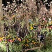 ヒメ日記 2026/01/30 20:21 投稿 みなみ★高身長で上品な和風美人 Bell～S級美女お姉様・人妻デリヘル～