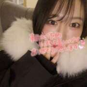 ヒメ日記 2026/01/30 23:47 投稿 みなみ★高身長で上品な和風美人 Bell～S級美女お姉様・人妻デリヘル～