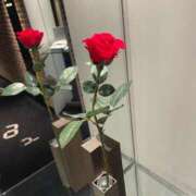 ヒメ日記 2026/02/05 00:19 投稿 みなみ★高身長で上品な和風美人 Bell～S級美女お姉様・人妻デリヘル～