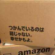 ヒメ日記 2026/04/07 17:15 投稿 みなみ★高身長で上品な和風美人 Bell～S級美女お姉様・人妻デリヘル～