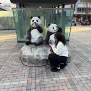 ヒメ日記 2026/04/12 19:12 投稿 みなみ★高身長で上品な和風美人 Bell～S級美女お姉様・人妻デリヘル～