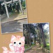 ヒメ日記 2026/04/21 12:42 投稿 杉本みのり（すぎもとみのり） 五十路マダム福知山店(カサブランカグループ)