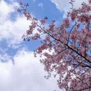 ヒメ日記 2026/04/22 12:33 投稿 しずく BAD COMPANY 札幌
