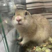 さくら 本日は18時まで☺️ ZERO