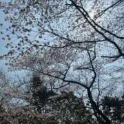 ヒメ日記 2026/03/29 16:08 投稿 まい エレガンス(広島)