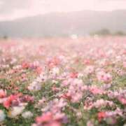 ヒメ日記 2026/03/04 14:38 投稿 えま エレガンス(広島)