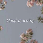 ヒメ日記 2026/04/13 10:08 投稿 うた エレガンス(広島)