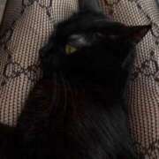 南すずり【PREMIUM】 🙇🏻‍♀️🙇🏻‍♀️🙇🏻‍♀️ 素人専門　街角レディ