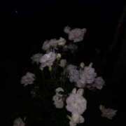 ヒメ日記 2026/04/06 01:00 投稿 南すずり【PREMIUM】 素人専門　街角レディ