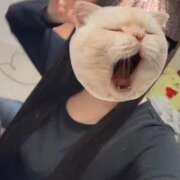 ヒメ日記 2026/02/17 16:13 投稿 Maina(まいな) AMATERAS(アマテラス)(福山)