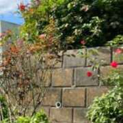 ヒメ日記 2026/01/08 08:52 投稿 きらら Charme（シャルム）