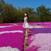 ヒメ日記 2026/02/06 17:17 投稿 さき JAPAN CLUB BUNNY LOUNGE