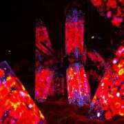 ヒメ日記 2026/04/14 11:18 投稿 さき JAPAN CLUB BUNNY LOUNGE