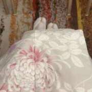 ヒメ日記 2026/01/27 15:19 投稿 塚原 しほ 癒しの円環～Art of Massage～五反田