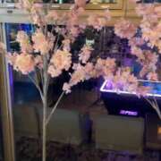 ヒメ日記 2026/03/25 23:43 投稿 塚原 しほ 癒しの円環~Art of Massage~五反田