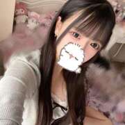 ヒメ日記 2026/02/19 13:47 投稿 ねる IRIS(岐阜)