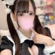 ヒメ日記 2026/02/19 19:15 投稿 ねる IRIS(岐阜)